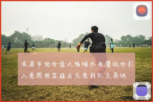 浓眉市场价值大幅缩水老鹰低价引入意图明显猛龙无意拆队交易他