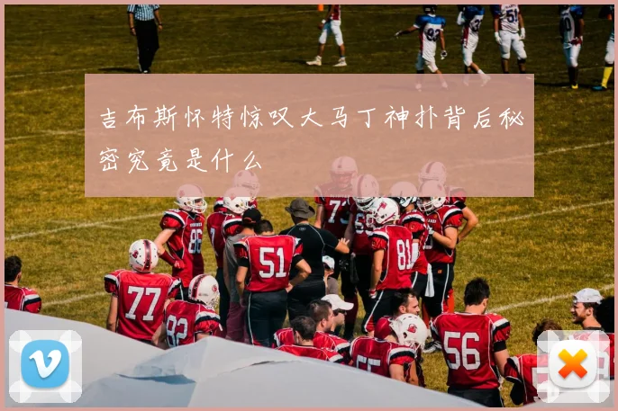 吉布斯怀特惊叹大马丁神扑背后秘密究竟是什么