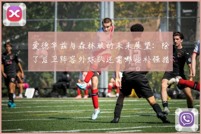 爱德华兹与森林狼的未来展望：除了后卫阵容外球队还需哪些补强措施