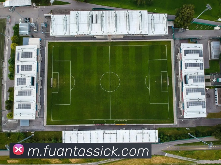 鲁媒报道泰山队8名国字号球员留守参加冬训不前往海口集训